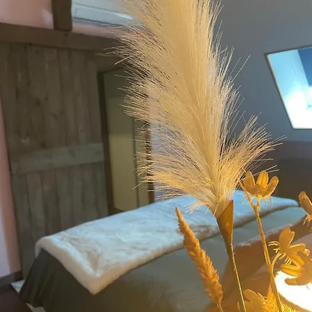 Grande Confortable 3*